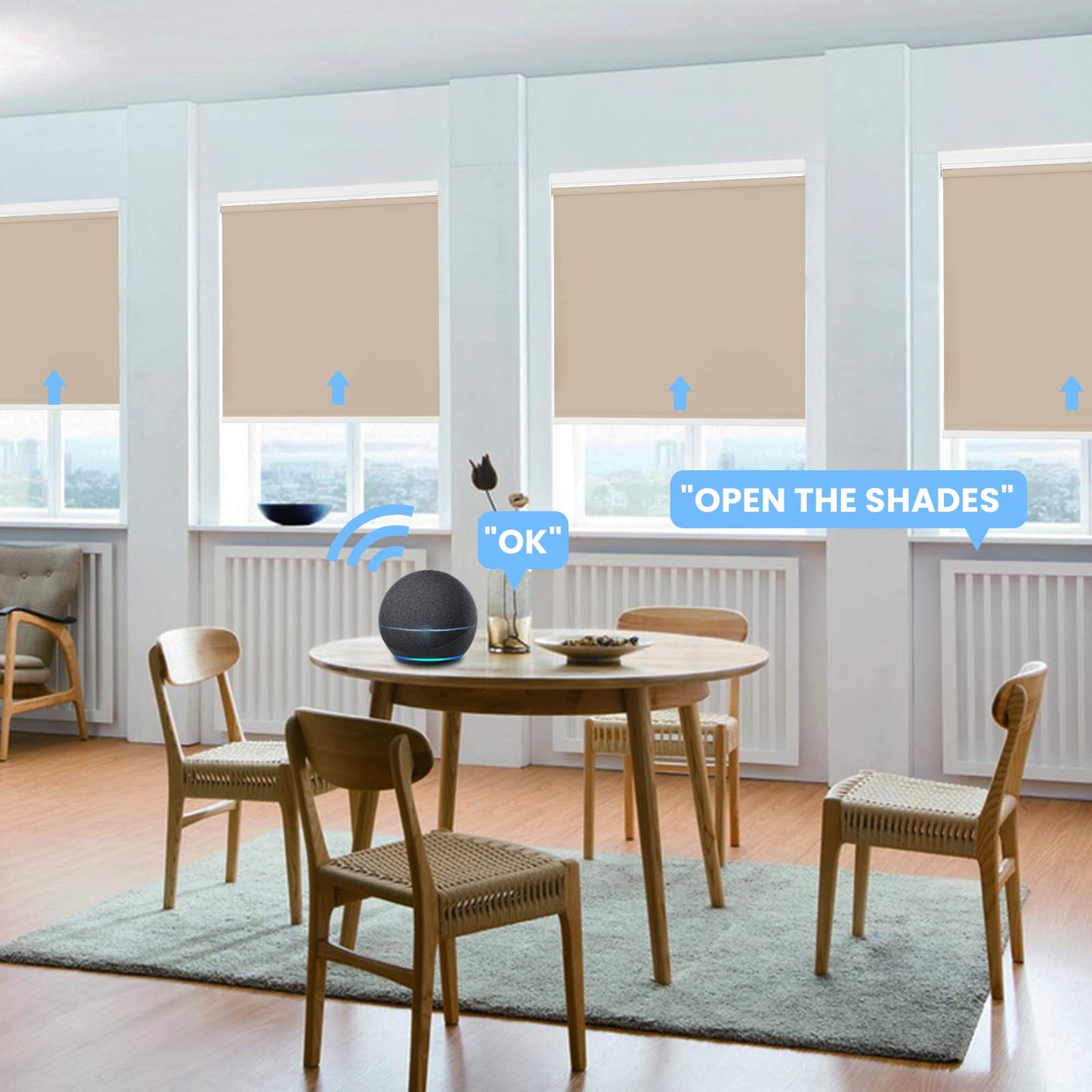 Motorized | Light Filtering | Rechargeable | Roller Shades | Customizable