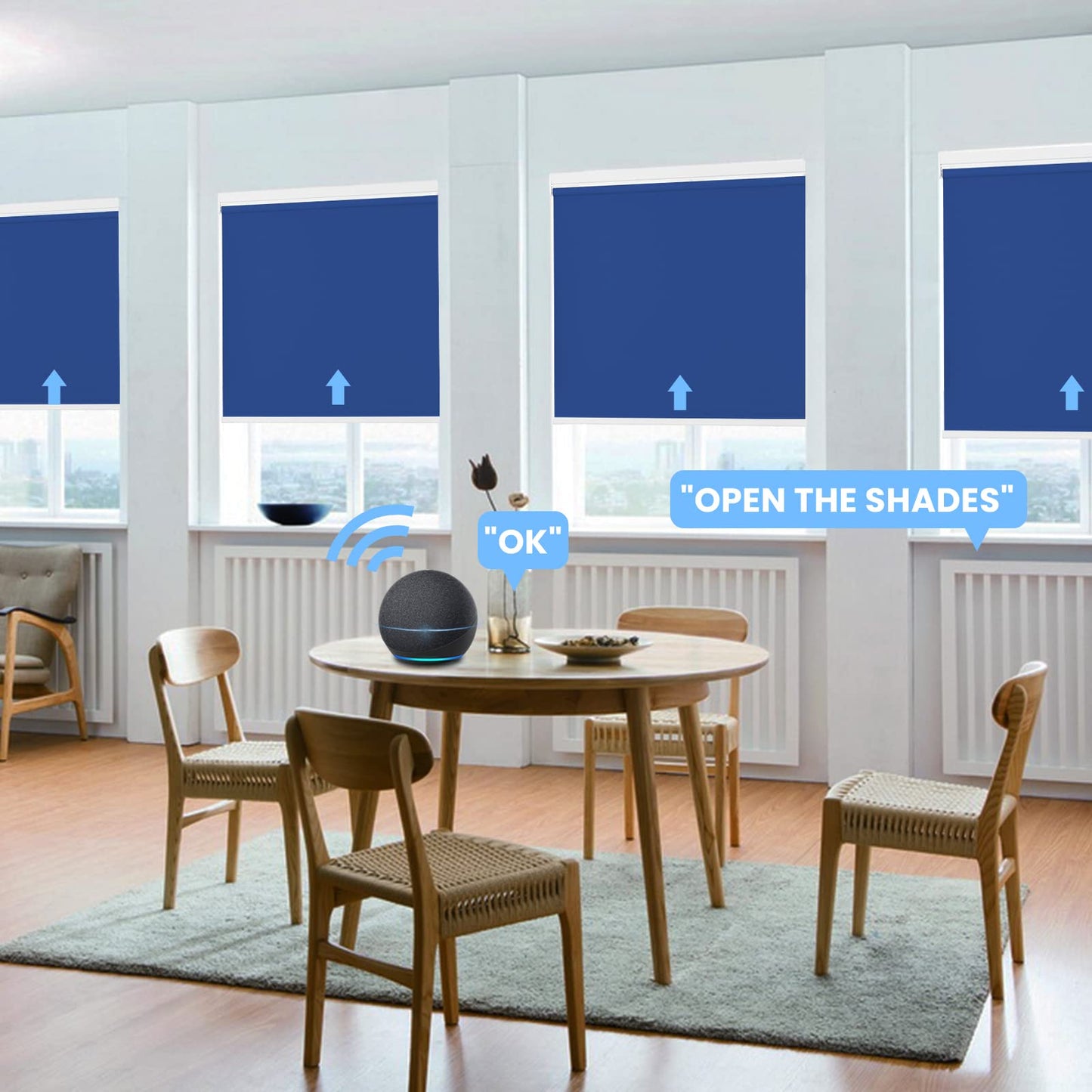 Motorized | Light Filtering | Rechargeable | Roller Shades | Customizable