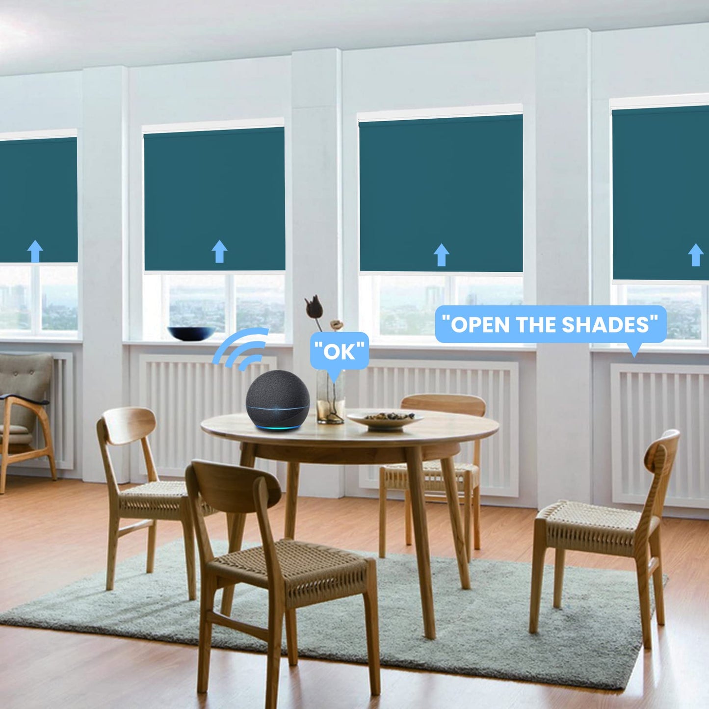 Motorized | Light Filtering | Rechargeable | Roller Shades | Customizable