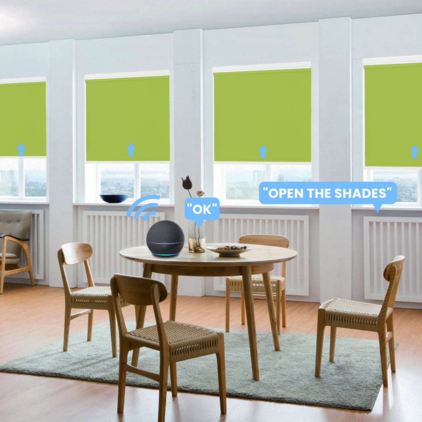 Motorized | Light Filtering | Rechargeable | Roller Shades | Customizable