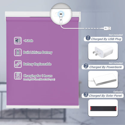 Motorized | Light Filtering | Rechargeable | Roller Shades | Customizable